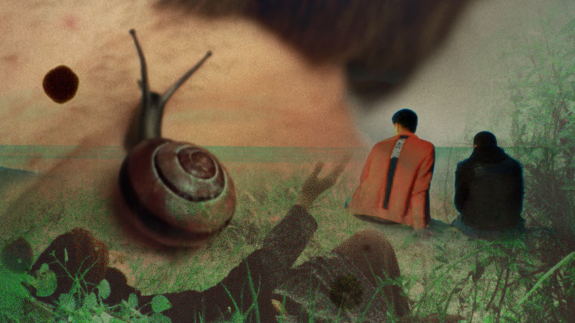 Courtisane Festival 2026